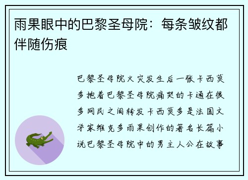 雨果眼中的巴黎圣母院：每条皱纹都伴随伤痕